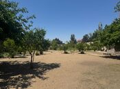 Объявление №5222172 - Баку, пос. Шувеляны, 23 сот