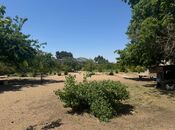 Продаётся  участок 23 сот, пос. Шувеляны, photo 5 from 8