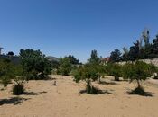 Продаётся  участок 23 сот, пос. Шувеляны, photo 3 from 8