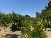 Продаётся  участок 23 сот, пос. Шувеляны, photo 4 from 8