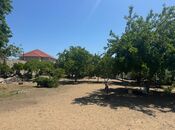 Продаётся  участок 23 сот, пос. Шувеляны, photo 7 from 8