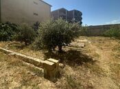 Продаётся  участок 6 сот, пос. Бадамдар, photo 6 from 6