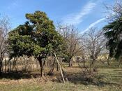 Продаётся 5-комн. дом/дача 180 м², photo 2 from 8