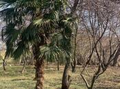 Продаётся 5-комн. дом/дача 180 м², photo 6 from 8