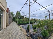 Продаётся  участок 120 сот, photo 7 from 8