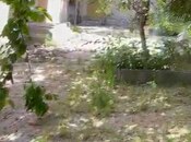 Продаётся  участок 6.4 сот, м. Насими, photo 5 from 7