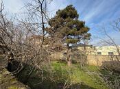 Elan №5246713 - Bakı, Neftçilər m., 3.5 sot