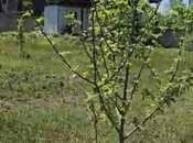 Продаётся  участок 20 сот, photo 3 from 5