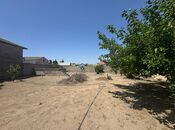 Объявление №5248058 - Баку, пос. Шувеляны, 14 сот