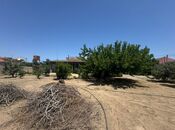 Продаётся  участок 14 сот, пос. Шувеляны, photo 6 from 6