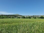 Elan №5248164 - Şamaxı, Şamaxı, 226 sot