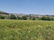 Продаётся  участок 226 сот, photo 7 from 8