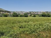 Продаётся  участок 226 сот, photo 8 from 8