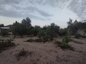 Satılır  torpaq 25 sot, Bilgəh q., photo 1 from 3