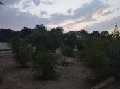 Satılır  torpaq 25 sot, Bilgəh q., photo 2 from 3