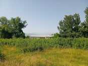 Продаётся  участок 24 сот, photo 5 from 6