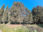 Объявление №5253467 - Гянджа, Гянджа, 10 сот