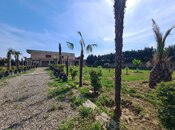 Продаётся  участок 70 сот, пос. Новханы, photo 2 from 8