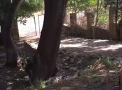 Продаётся  объект 2 000 м², Набрань р., photo 4 from 8