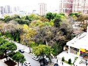 5 otaqlı yeni tikili - Nizami m. - 286 m²