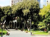 5 otaqlı yeni tikili - Nizami m. - 286 m²