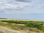 Satılır  torpaq 16 000 sot, photo 3 from 8