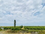 Satılır  torpaq 16 000 sot, photo 2 from 8