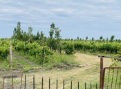 Satılır  torpaq 16 000 sot, photo 6 from 8