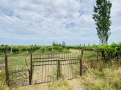 Satılır  torpaq 16 000 sot, photo 5 from 8