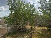 Продаётся  участок 8.5 сот, пос. Мардакан, photo 4 from 6