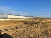 Продаётся  участок 100 сот, пос. Атъялы, photo 3 from 6