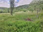 Satılır  torpaq 50 sot, photo 2 from 4