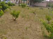 Elan №5271268 - Bakı, Nardaran q., 12 sot