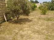 Satılır  torpaq 12 sot, Nardaran q., photo 7 from 8