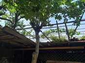 Satılır 6 otaqlı həyət evi/bağ evi 150 m², Azadlıq Prospekti m., photo 5 from 8