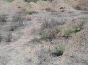 Объявление №5277437 - Геранбой, Геранбой, 5 сот