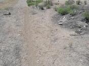 Продаётся  участок 5 сот, photo 2 from 3