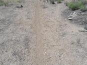 Продаётся  участок 5 сот, photo 3 from 3