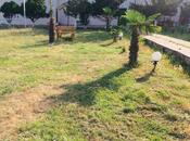 Satılır  obyekt 557 m², Nabran r., photo 3 from 8