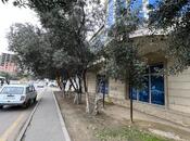 Объявление №5279816 - Хырдалан, Хырдалан, 600 м²