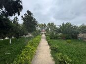 Satılır  torpaq 24 sot, Mərdəkan q., photo 4 from 8