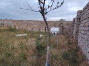 Satılır  torpaq 15 sot, Nardaran q., photo 5 from 5