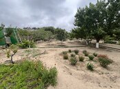 Продаётся  участок 24 сот, пос. Мардакан, photo 7 from 7