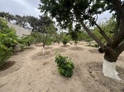 Продаётся  участок 24 сот, пос. Мардакан, photo 3 from 7