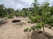 Продаётся  участок 24 сот, пос. Мардакан, photo 5 from 7