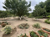 Продаётся  участок 24 сот, пос. Мардакан, photo 6 from 7