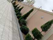 İcarəyə verilir 5 otaqlı həyət evi/bağ evi 250 m², Novxanı q., photo 5 from 8