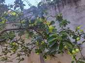 Продаётся 3-комн. дом/дача 200 м², пос. Бадамдар, photo 5 from 8