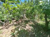 Продаётся 3-комн. дом/дача 200 м², пос. Бадамдар, photo 8 from 8