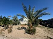 Продаётся  участок 4.2 сот, пос. Шаган, photo 6 from 8